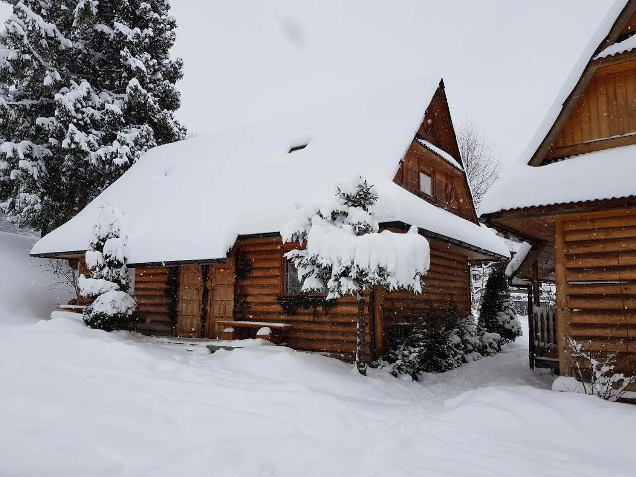 Domki Camping Harenda Zakopane